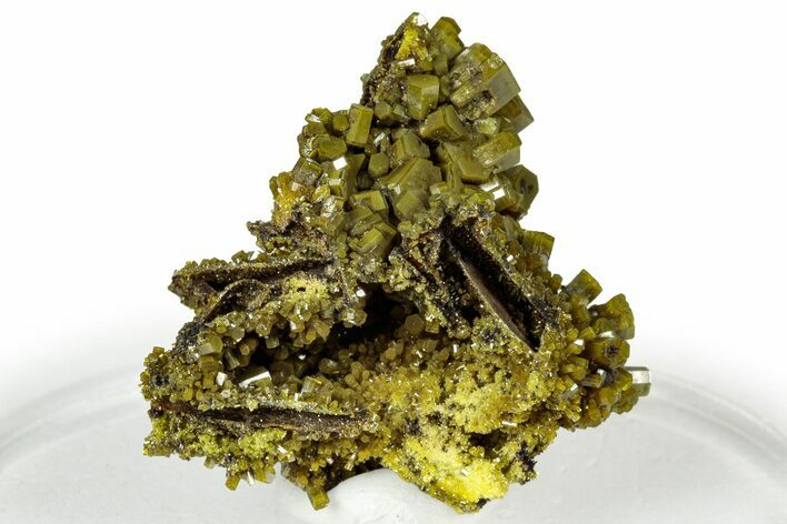 Lustrous Forest-Green Pyromorphite Crystal Cluster - China #330060